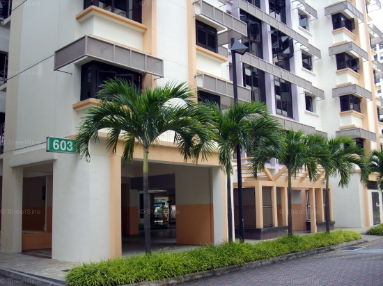 Blk 603 Jurong West Street 62 (Jurong West), HDB Executive #416362
